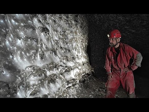 Ragno gigante ‘Megacity’ scoperto in una grotta al confine tra Albania e Grecia