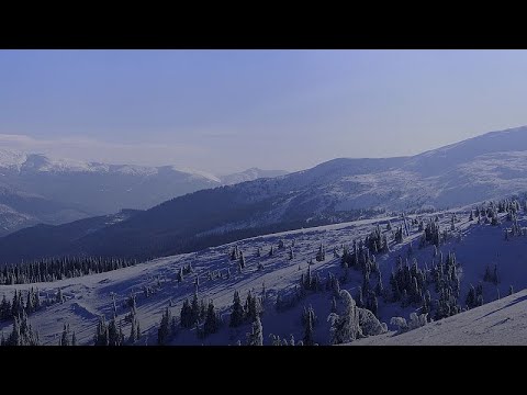 Bollettino neve (2026/01/25)