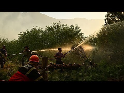Incendio boschivo brucia oltre 5.500 ettari in Patagonia argentina