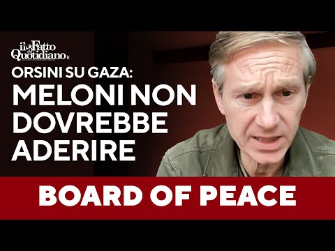 Orsini sul Board of peace: “Meloni non dovrebbe entrare nel comitato per Gaza, meglio star fuori”