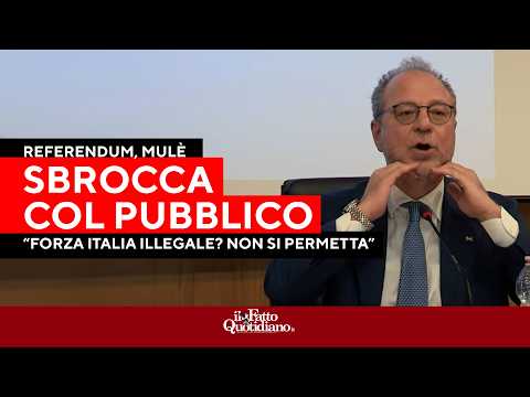 Referendum, Mulè sbotta: “Forza Italia illegale? La denuncio”. E Conte lo punzecchia