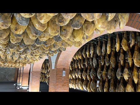 I segreti del Pata Negra: un “prodotto unico” pronto a conquistare il mondo