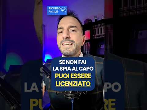 Secondo la Cassazione se non fai “la spia” al capo, rischi il licenziamento