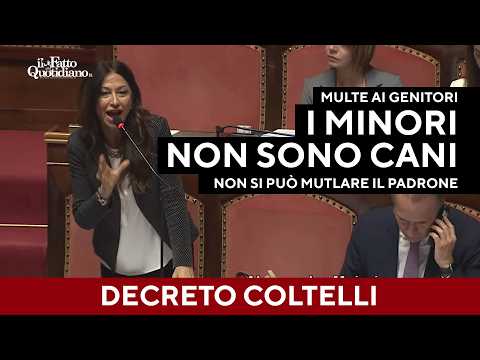 “I minori non sono cani”, “Sicurezza? Non siete in grado”, decreto coltelli in Senato