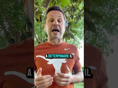 Il PARADOSSO dello STALKER | Avv. Angelo Greco