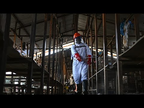 Ue e Unicef inviano 100 tonnellate di aiuti per frenare Ebola nella Repubblica democratica del Congo