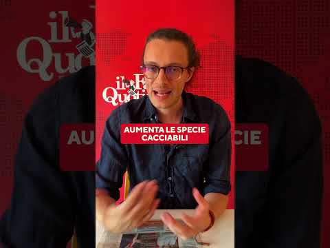 IL MONDO AL CONTRARIO DEL GOVERNO: UCCIDERE GLI ANIMALI PER PROTEGGERE LA NATURA #notizie #shorts