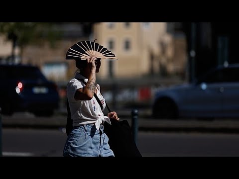 La Francia nella morsa del caldo: blackout e allerta per il rischio di incendi