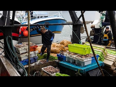 Pescatori francesi si riuniscono a Cherbourg preoccupati per i prezzi del carburante