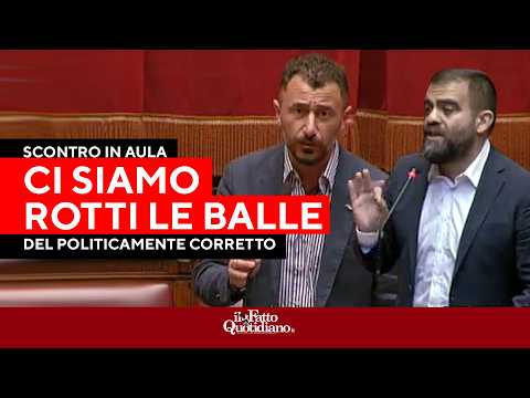“Razzisti”, “Del politicamente corretto ci siamo rotti le balle”, scontro con i vannacciani