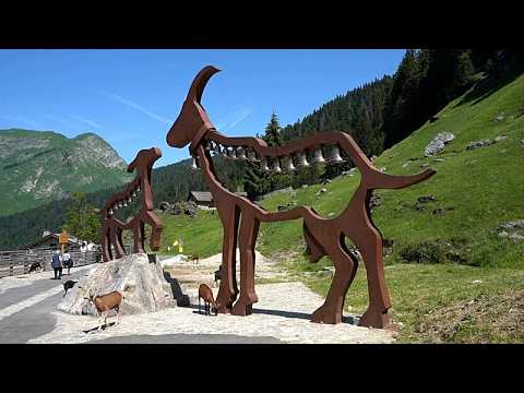 Capre libere nel villaggio alpino francese di Les Lindarets