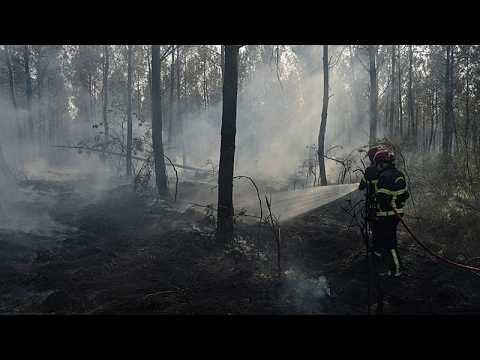 Incendi in Francia, l’allarme dei “fuochi zombie”: possono bruciare nel sottosuolo per mesi