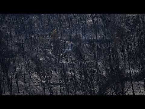 Incendio boschivo in rapido avanzamento si estende nel sud della Francia