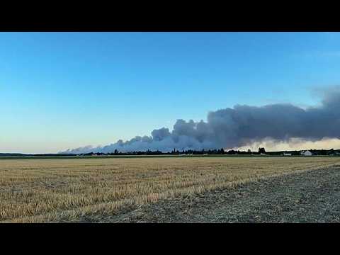 Incendio di portata eccezionale nella foresta di Fontainebleau a sud di Parigi, evacuati residenti