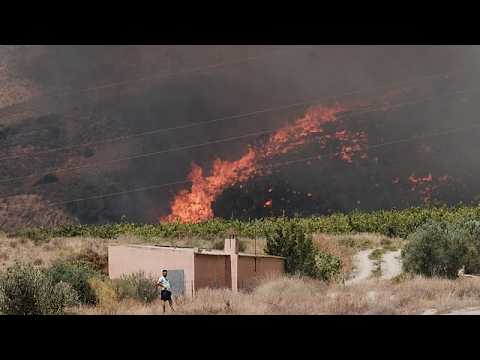 Spagna, incendio in Andalusia: la maggior parte delle 12 vittime è straniera