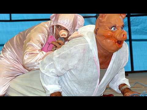 Campionato francese di grugniti di maiale, i concorrenti strillano come porci