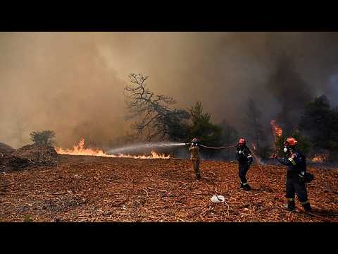 Elicotteri e vigili del fuoco combattono un incendio boschivo vicino ad Atene